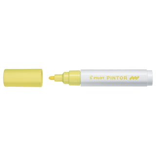 Pilot Pintor Marker Bullet Tip Medium Line - Black
